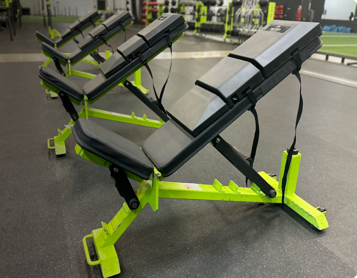 Advanced Muscle Mechanics