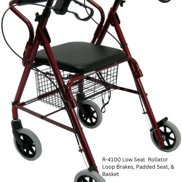 https://cdn.shopify.com/s/files/1/0678/8641/6131/files/R-4100-Low-Seat-Rollator-Loop-Brakes-Padded-Seat-Basket-Rivete-38552746295555.png?v=1749000377