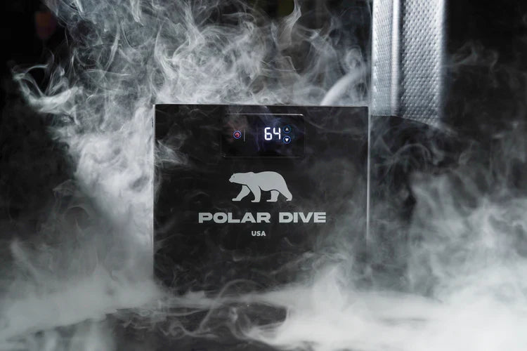 Polar Dive