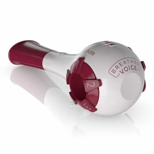 https://cdn.shopify.com/s/files/1/0318/9771/4819/products/Breather-Voice-8.jpg?v=1652462719