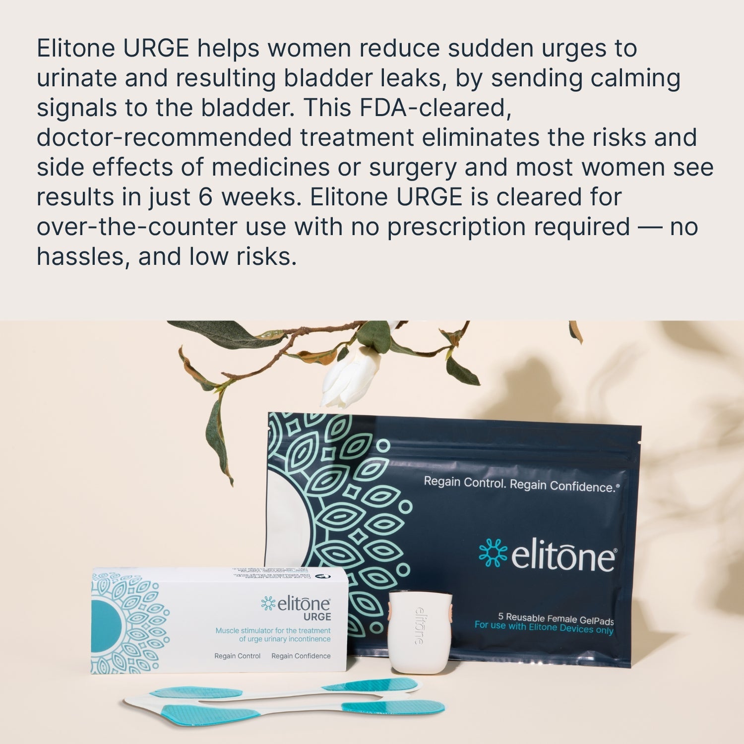 https://cdn.shopify.com/s/files/1/0681/5016/5733/files/EK1043_details.jpg?v=1771603903