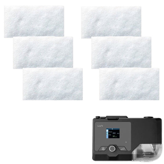 https://cdn.shopify.com/s/files/1/0318/9771/4819/products/Luna-Disposable-Air-Filter-6pack.jpg?v=1598981830