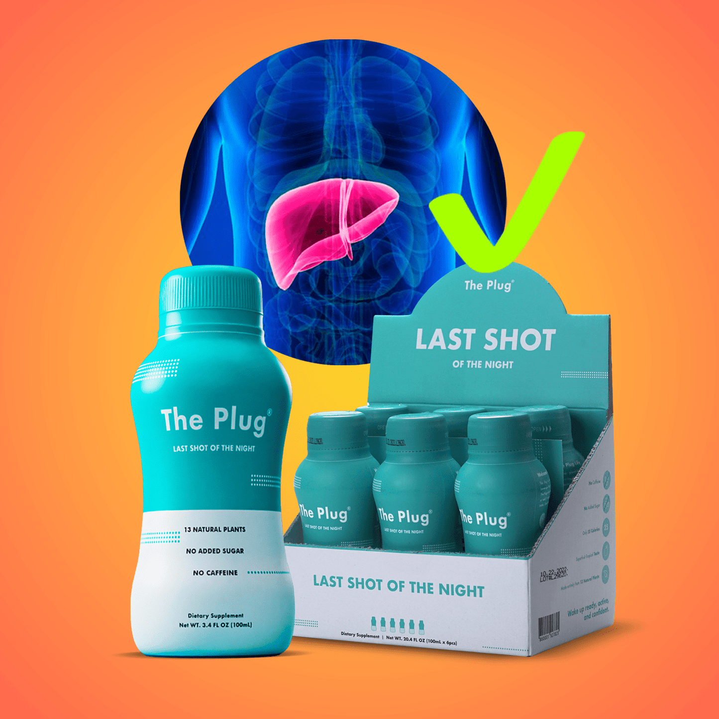 https://cdn.shopify.com/s/files/1/0091/6973/1664/files/Option_001_08_4f4cd6c3-eadb-4eb0-b1b6-abb595185655.png?v=1701797796