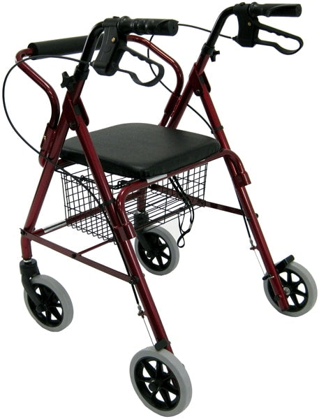 https://cdn.shopify.com/s/files/1/0678/8641/6131/files/R-4100-Low-Seat-Rollator-Loop-Brakes-Padded-Seat-Basket-Rivete-37736492269827.jpg?v=1750814111