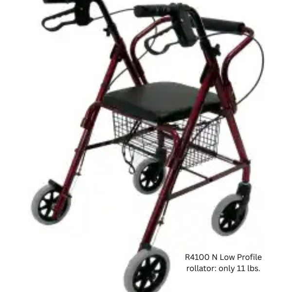 https://cdn.shopify.com/s/files/1/0678/8641/6131/files/R-4100-Low-Seat-Rollator-Loop-Brakes-Padded-Seat-Basket-Rivete-38552746361091.png?v=1749000387