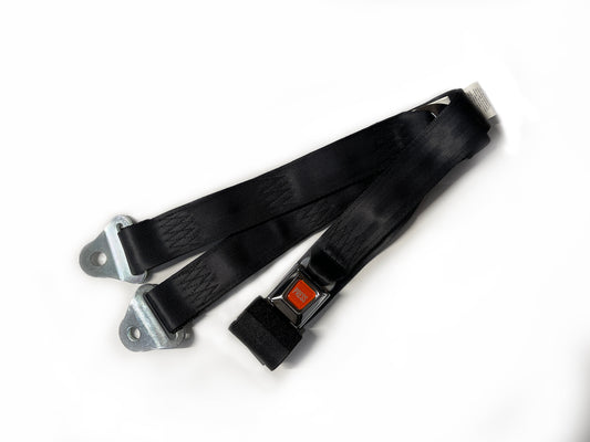 https://cdn.shopify.com/s/files/1/0678/8641/6131/files/WC-19SafetyBelt.jpg?v=1736375131