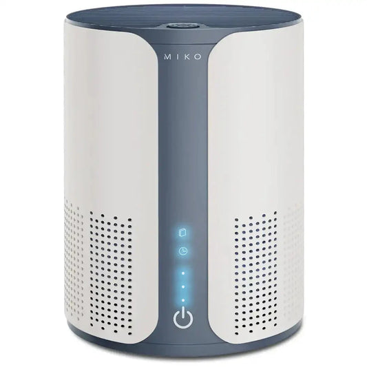 https://cdn.shopify.com/s/files/1/1847/9031/files/Website_Ibuki_1728x_1080x-min_6e1b3607-25c5-44f5-ab64-5500587d7213.webp?v=1724391297