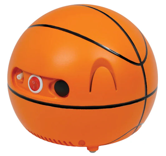 https://cdn.shopify.com/s/files/1/0318/9771/4819/files/basketballl.webp?v=1688153568