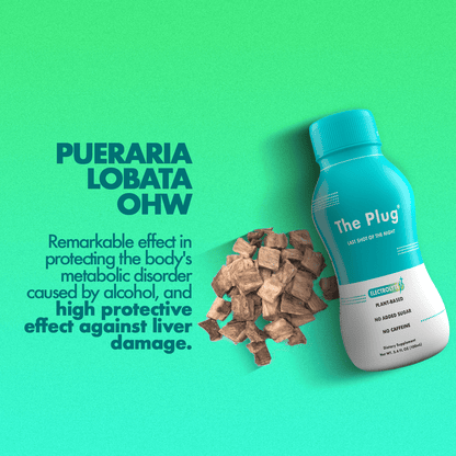 https://cdn.shopify.com/s/files/1/0091/6973/1664/files/the-plug-drink-liver-support-0_616bb846-2a25-43f9-b364-e147f67d16eb.png?v=1701797796