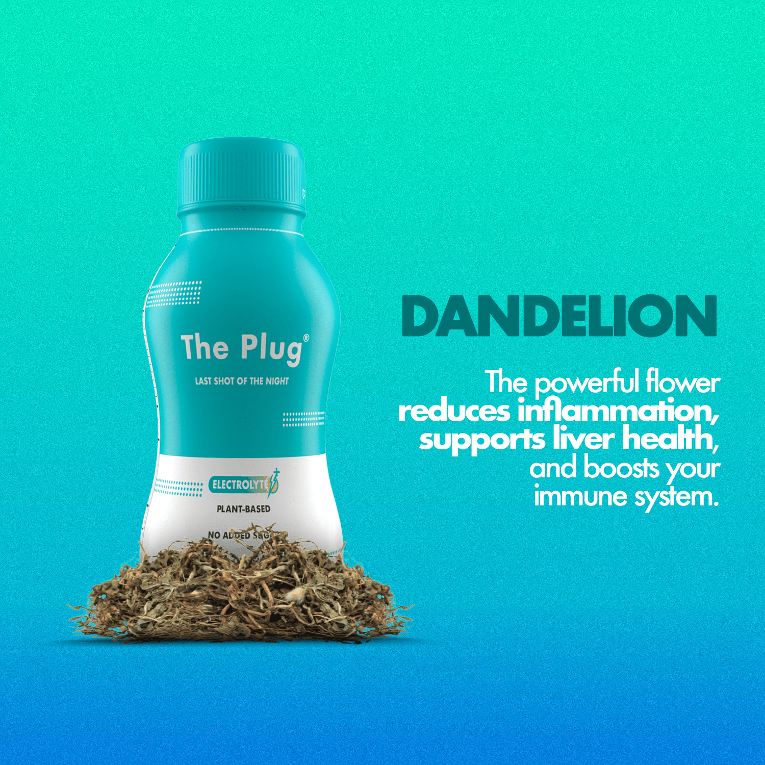 https://cdn.shopify.com/s/files/1/0091/6973/1664/files/the-plug-drink-liver-support-3_4aa994ea-4abf-476d-9d92-0654ffae5ef6.png?v=1701797795