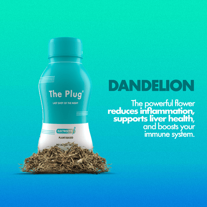 https://cdn.shopify.com/s/files/1/0091/6973/1664/files/the-plug-drink-liver-support-3_4aa994ea-4abf-476d-9d92-0654ffae5ef6.png?v=1701797795